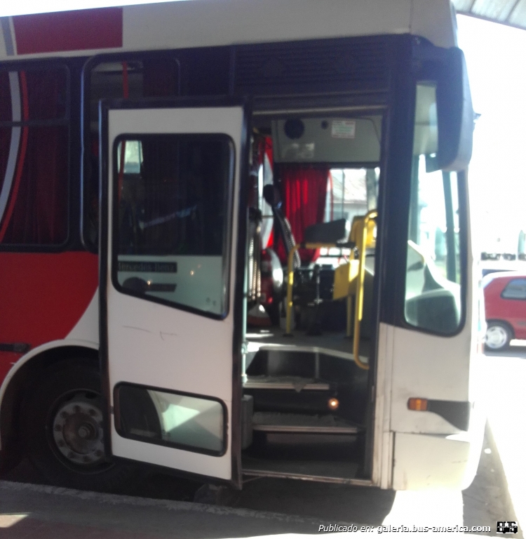Mercedes-Benz OH 1518 (Alargado) - Nuovobus - E.V.H.S.A.
LIH105 
Foto 1: [url=https://bus-america.com/galeria/displayimage.php?pid=49382]https://bus-america.com/galeria/displayimage.php?pid=49382[/url]
Foto 2: [url=https://bus-america.com/galeria/displayimage.php?pid=49383]https://bus-america.com/galeria/displayimage.php?pid=49383[/url]
Foto 3: [url=https://bus-america.com/galeria/displayimage.php?pid=49384]https://bus-america.com/galeria/displayimage.php?pid=49384[/url]
Foto Interior: [url=https://bus-america.com/galeria/displayimage.php?pid=49385]https://bus-america.com/galeria/displayimage.php?pid=49385[/url]

Hasta donde se, es único. Ambas puertas pantograficas se abren hacia afuera y atrás. Musica/radio en toda la unidad, aire acondicionado, asientos grammers altos.
Además esta empresa tiene 2 OH1518 con puertas convencionales que les mostraré próximamente.
Palabras clave: Mercedes-Benz OH1518 Alargado Nuovobus media distancia EVHSA EVH E.V.H. E.V.H.S.A.