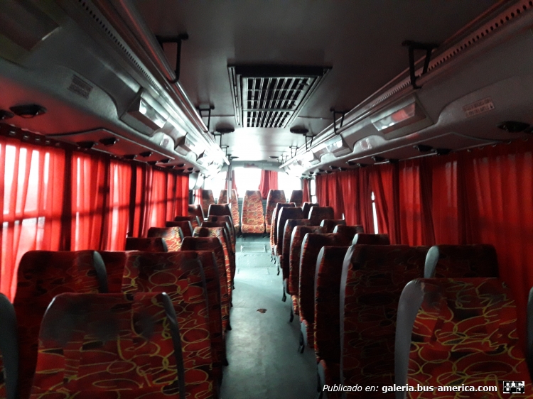 Mercedes-Benz OH1518 - Nuovobus - E.V.H.S.A.
IYG256
Foto 1: [url=https://bus-america.com/galeria/displayimage.php?pid=49400]https://bus-america.com/galeria/displayimage.php?pid=49400[/url]
Foto 2: [url=https://bus-america.com/galeria/displayimage.php?pid=49396]https://bus-america.com/galeria/displayimage.php?pid=49396[/url]
Foto 3: [url=https://bus-america.com/galeria/displayimage.php?pid=49395]https://bus-america.com/galeria/displayimage.php?pid=49395[/url]
Foto 4: [url=https://bus-america.com/galeria/displayimage.php?pid=49394]https://bus-america.com/galeria/displayimage.php?pid=49394[/url]
Foto 5 Interior: [url=https://bus-america.com/galeria/displayimage.php?pid=49403]https://bus-america.com/galeria/displayimage.php?pid=49403[/url]
Foto 6 Interior: (foto actual)
Foto 7 Interior: [url=https://bus-america.com/galeria/displayimage.php?pid=49401]https://bus-america.com/galeria/displayimage.php?pid=49401[/url]
Foto 8 Interior: [url=https://bus-america.com/galeria/displayimage.php?pid=49393]https://bus-america.com/galeria/displayimage.php?pid=49393[/url]
Como les había comentado antes, los otros 2 OH1518 con carrocería Nuovobus de Vercelli. Puerta de 4 hojas adelante y de 2 hojas atrás. Aire acondicionado y asientos mullidos de pana (Fijos). Como Curiosidad, el interno 60, tiene el vidrio separador detrás del chofer de un Ottaviano (Foto 5).
Palabras clave: Mercedes-Benz OH1518 Nuovobus interurbano EVHSA EVH E.V.H. E.V.H.S.A.