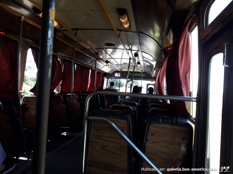 Mercedes-Benz OHL1316 - Corwin 1994 - T.U.P.E.
Antes de la pandemia aun se lo veía funcionando en la linea de vez en cuando!
Frente: https://bus-america.com/galeria/displayimage.php?pid=49360
Culata: https://bus-america.com/galeria/displayimage.php?pid=49361
Interior 2: https://bus-america.com/galeria/displayimage.php?pid=49364
Interior 3: https://bus-america.com/galeria/displayimage.php?pid=49365
Interior 4: https://bus-america.com/galeria/displayimage.php?pid=49362
Palabras clave: Mercedes-Benz OHL1316 Corwin T.U.P.E. TUPE Empalme Villa Constitución interior