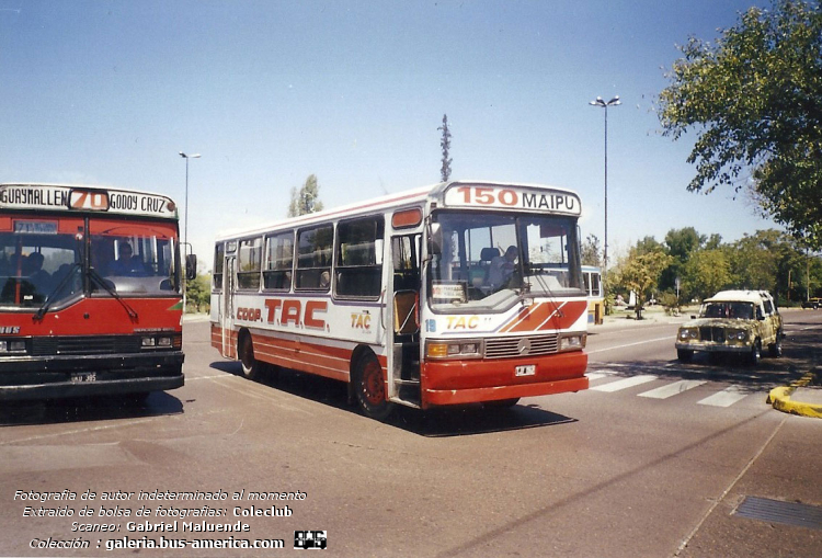 Mercedes-Benz OF 1214 - Peveri - Coop. TAC
TJY 062 - ex patente C.1524556

Línea 152 (Mendoza), interno 19

Fotógrafo: desconocido al momento
Extraído de bolsa de fotografías del Coleclub
Scaneo: Gabriel Maluende
Colección: www.bus-america.com
