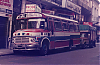 MBLO1114-Ala_83-cf23i45c1184834_Uru_Sarmi_0493_fAFT.jpeg