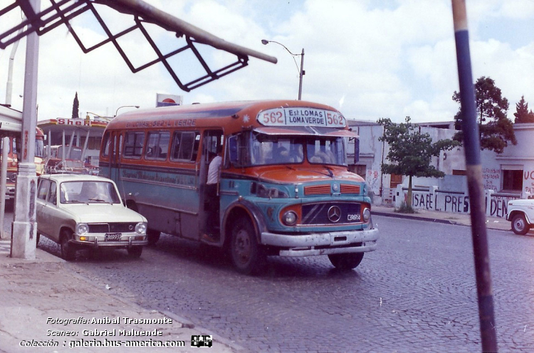 Mercedes-Benz LO 1114 - Alcorta - Exp.Malvinas Argentinas
C.396958 - luego patente VRW 456

Línea 562 (Pdo.Lomas de Zamora), interno 11

Fotografía: Anibal F. Trasmonte
Scaneo: Gabriel Maluende
Colección: www.bus-america.com
