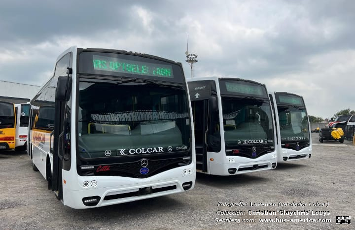 Mercedes-Benz OF 1621 - Nuovobus Cittá PH 0071 - Panamericana
[url=https://bus-america.com/galeria/displayimage.php?pid=68359]https://bus-america.com/galeria/displayimage.php?pid=68359[/url]
[url=https://bus-america.com/galeria/displayimage.php?pid=68361]https://bus-america.com/galeria/displayimage.php?pid=68361[/url]

Panamericana (Prov.San Luis)


Fotografía: Lorenzo (vendedor de Colcar)
Gentileza: Christian "Glaychris"
