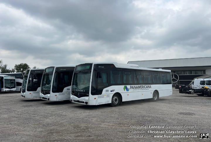 Mercedes-Benz OF 1621 - Nuovobus Cittá PH 0071 - Panamericana
[url=https://bus-america.com/galeria/displayimage.php?pid=68360]https://bus-america.com/galeria/displayimage.php?pid=68360[/url]
[url=https://bus-america.com/galeria/displayimage.php?pid=68361]https://bus-america.com/galeria/displayimage.php?pid=68361[/url]

Panamericana (Prov.San Luis)


Fotografía: Lorenzo (vendedor de Colcar)
Gentileza: Christian "Glaychris"
