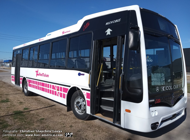 Mercedes-Benz OF 1621 - Nuovobus Cittá PH 0071 - Red Tulum
[url=https://bus-america.com/galeria/displayimage.php?pid=66660]https://bus-america.com/galeria/displayimage.php?pid=66660[/url]

Red Tulumb (Prov.San Juan)

Fotografía y gentileza: Christian "Glaychris" Louys 
