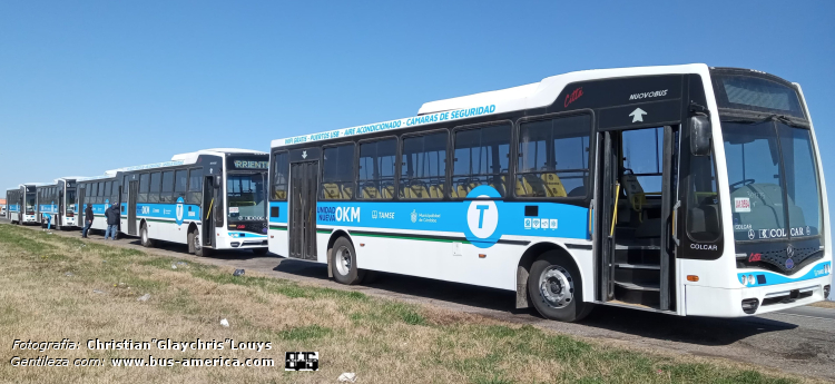 Mercedes-Benz OF 1621 - Nuovobus Cittá PH 0071 - TAMSE
UAX-0568 (patente provisoria) [1º]

UAX-0575 (patente provisoria) [2º]

[url=https://bus-america.com/galeria/displayimage.php?pid=66408]https://bus-america.com/galeria/displayimage.php?pid=66408[/url]
[url=https://bus-america.com/galeria/displayimage.php?pid=66409]https://bus-america.com/galeria/displayimage.php?pid=66409[/url]
[url=https://bus-america.com/galeria/displayimage.php?pid=66410]https://bus-america.com/galeria/displayimage.php?pid=66410[/url]

TAMSE (Córdoba)

Fotografía y gentileza. Christian Glaycris Louys


"Nueva caravana de Nuovobus para la TAMSE de Córdoba" 
