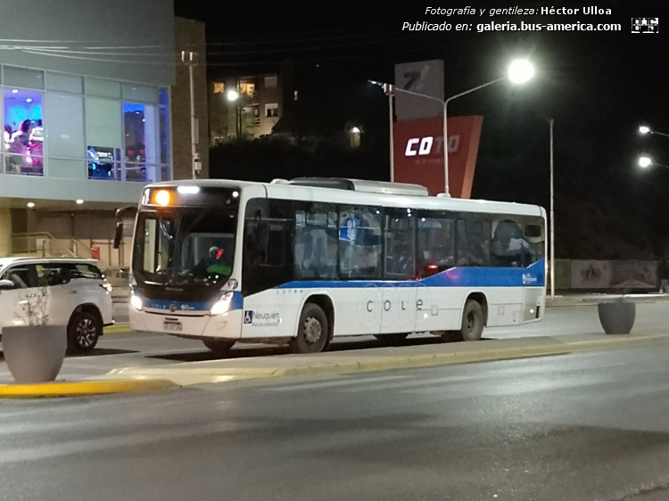 Mercedes-Benz O 500 U - Marcopolo Torino Low Entry T347 - Cole , Exp. Tigre Iguazú
Línea 11 (Neuquén)


Fotografía y gentileza: Héctor Ulloa
