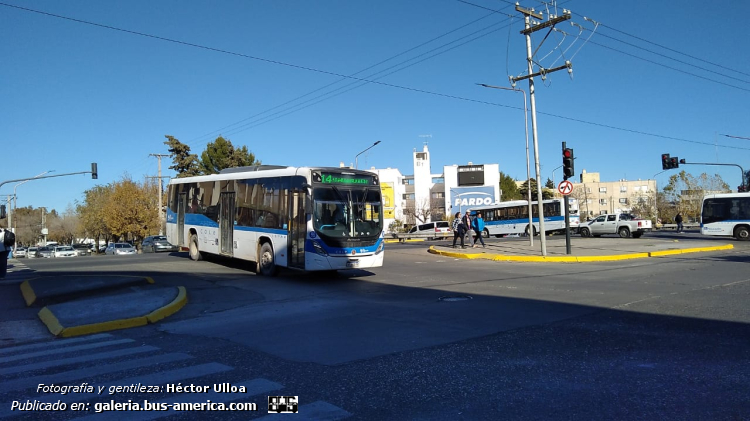 Mercedes-Benz O 500 U - Marcopolo Torino Low Entry T347 - Cole , KoKo
Línea 14 (Neuquén), interno 95


Fotografía y gentileza: Héctor Ulloa
