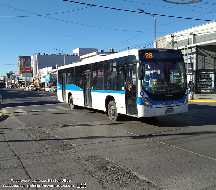 Mercedes-Benz O 500 U - Marcopolo Torino Low Entry T347 - Cole , KoKo
AF 662 FA

Línea 28 (Neuquén), interno 54


Fotografía y gentileza: Héctor Ulloa
