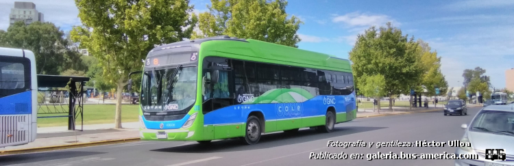 Scania K 280 B - Marcopolo Torino Low Entry - Cole , KoKo & Exp. Tigre Iguazú 
Línea 8 (Neuquén), interno 200

Fotografía y gentileza: Hécto Ulloa
