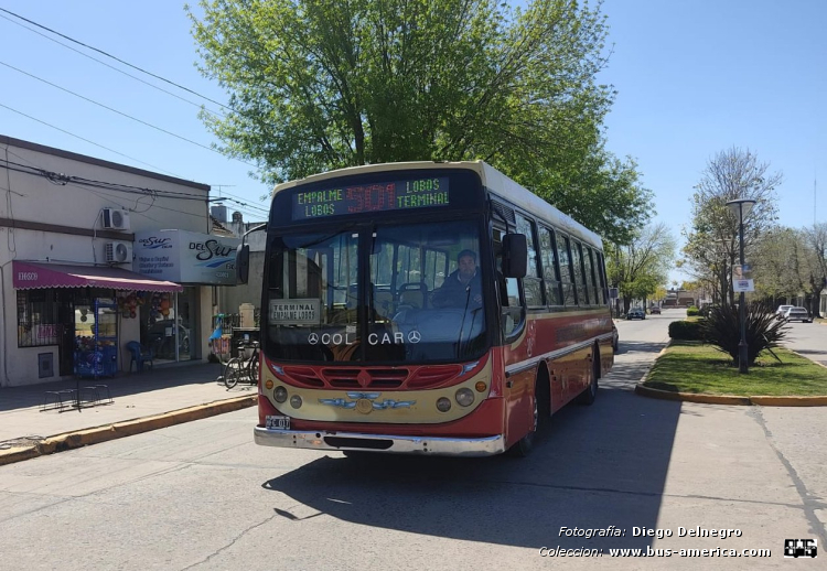 Mercedes-Benz OF 1418 - Metalpar Tronador - Exp. Emp. Lobos
HFC 017
[url=https://bus-america.com/galeria/displayimage.php?pid=56666]https://bus-america.com/galeria/displayimage.php?pid=56666[/url]

Línea 501 (Pdo. Lobos), interno 30


Fotografía: Diego Delnegro
