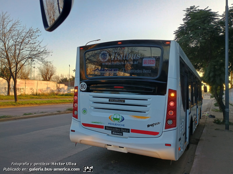 Mercedes-Benz OH 1621 L SB - Italbus Tropea Ital 89-20 - Pehuenche
UAX-0529 (patente provisoria)
[url=https://bus-america.com/galeria/displayimage.php?pid=66375]https://bus-america.com/galeria/displayimage.php?pid=66375[/url]
[url=https://bus-america.com/galeria/displayimage.php?pid=66377]https://bus-america.com/galeria/displayimage.php?pid=66377[/url]
[url=https://bus-america.com/galeria/displayimage.php?pid=66378]https://bus-america.com/galeria/displayimage.php?pid=66378[/url]
[url=https://bus-america.com/galeria/displayimage.php?pid=66379]https://bus-america.com/galeria/displayimage.php?pid=66379[/url]

Línea 911 (Neuquén & Rio Negro)

Fotografía y gentileza: Héctor Ulloa
