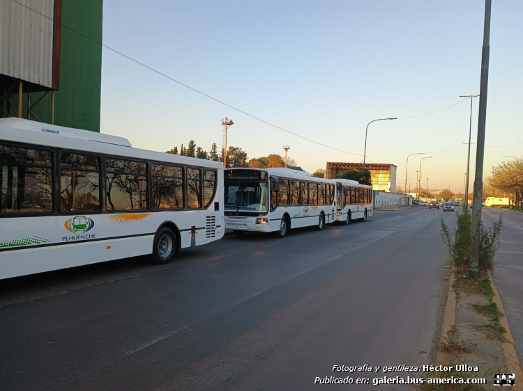 Mercedes-Benz OH 1621 L SB - Italbus Tropea Ital 89-20 - Pehuenche
UAX-0529 (patente provisoria) [centro]
[url=https://bus-america.com/galeria/displayimage.php?pid=66375]https://bus-america.com/galeria/displayimage.php?pid=66375[/url]
[url=https://bus-america.com/galeria/displayimage.php?pid=66376]https://bus-america.com/galeria/displayimage.php?pid=66376[/url]
[url=https://bus-america.com/galeria/displayimage.php?pid=66377]https://bus-america.com/galeria/displayimage.php?pid=66377[/url]
[url=https://bus-america.com/galeria/displayimage.php?pid=66379]https://bus-america.com/galeria/displayimage.php?pid=66379[/url]

Línea 911 (Neuquén & Rio Negro)

Fotografía y gentileza: Héctor Ulloa
