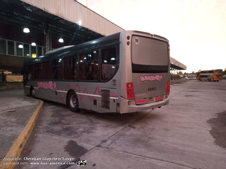 Mercedes-Benz O 500 U - Ugarte Europeo 2007 97 reformado - Rutatlántica
OHV 989
[url=https://bus-america.com/galeria/displayimage.php?pid=67891]https://bus-america.com/galeria/displayimage.php?pid=67891[/url]
[url=https://bus-america.com/galeria/displayimage.php?pid=67892]https://bus-america.com/galeria/displayimage.php?pid=67892[/url]

Rutatlántica, interno 42403

Fotografía y gentileza: Christian "Glaychris" Louys
