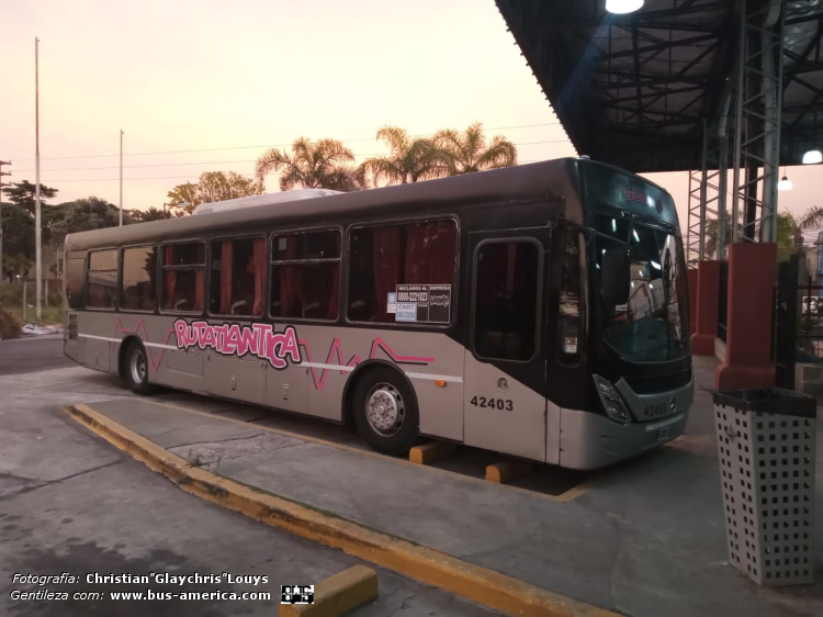 Mercedes-Benz O 500 U - Ugarte Europeo 2007 97 reformado - Rutatlántica
OHV 989
[url=https://bus-america.com/galeria/displayimage.php?pid=67890]https://bus-america.com/galeria/displayimage.php?pid=67890[/url]
[url=https://bus-america.com/galeria/displayimage.php?pid=67892]https://bus-america.com/galeria/displayimage.php?pid=67892[/url]

Rutatlántica, interno 42403

Fotografía y gentileza: Christian "Glaychris" Louys
