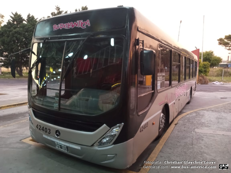 Mercedes-Benz O 500 U - Ugarte Europeo 2007 97 reformado - Rutatlántica
OHV 989
[url=https://bus-america.com/galeria/displayimage.php?pid=67890]https://bus-america.com/galeria/displayimage.php?pid=67890[/url]
[url=https://bus-america.com/galeria/displayimage.php?pid=67891]https://bus-america.com/galeria/displayimage.php?pid=67891[/url]

Rutatlántica, interno 42403

Fotografía y gentileza: Christian "Glaychris" Louys
