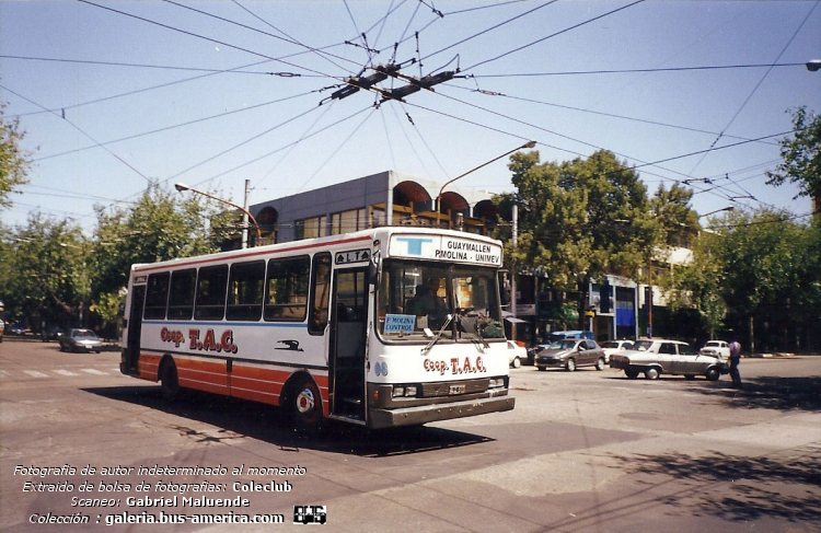 Mercedes-Benz OHL 1320 - Bus Tango 04 - Coop.TAC
ALO 530

Línea T (Mendoza), interno 08

Fotógrafo: indeterminado de momento
Extraído de bolsa de fotografías del Coleclub
Scaneo: Gabriel Maluende
Colección: www.bus-america.com
