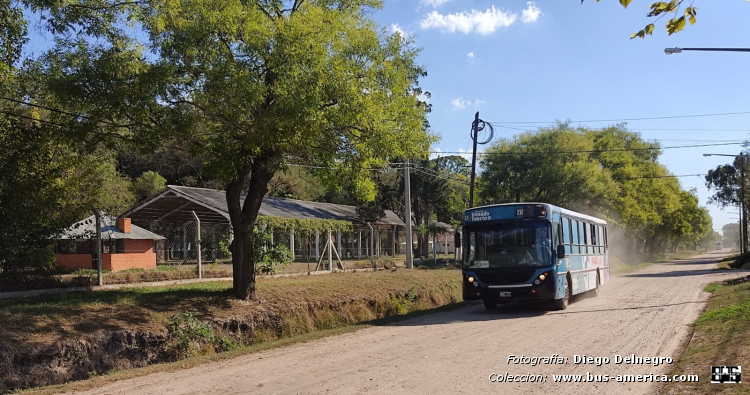 Volkswagen 17.210 OD - Ugarte Americano - TUP , Municipalidad V.Tuerto
EWK 971
[url=https://bus-america.com/galeria/displayimage.php?pid=60302]https://bus-america.com/galeria/displayimage.php?pid=60302[/url]

Línea 4 (Venado Tuerto), interno 11
Ex SEMTUR (Rosario), interno 61

Fotografía y gentileza: Diego Delnegro
