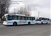 MBOF1418-ItalbusBello-JacobusA_fTJacobsen_cLorenzoCol_gGlaycris.jpg