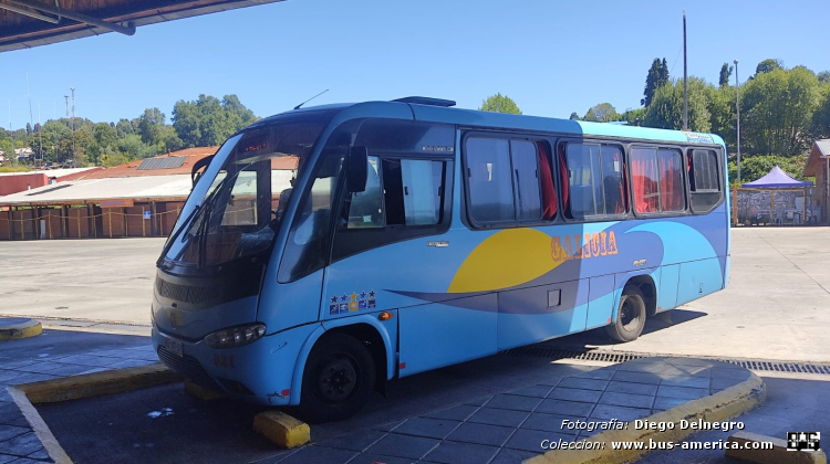 Mercedes-Benz LO 915 - Marcopolo G7 Senior (en Chile) - Galicia
MZ 97 57
[url=https://bus-america.com/galeria/displayimage.php?pid=68133]https://bus-america.com/galeria/displayimage.php?pid=68133[/url]

Galicia (Reg.Los Ríos), unidad 021


Fotografía y gentileza: Diego Delnegro
