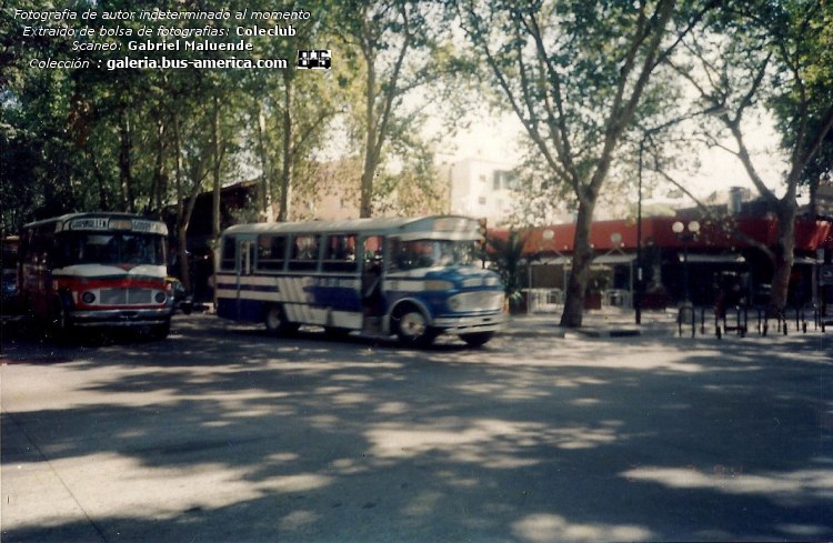 Mercedes-Benz LO 1114 - Fram - B.Matienzo
¿[url=https://bus-america.com/galeria/displayimage.php?pid=3435]https://bus-america.com/galeria/displayimage.php?pid=3435[/url]?
Líneas 70 (Mendoza), interno 43 [izquierda]


Líneas 100 (Mendoza), interno 12 [derecha]


Fotografía: Osvaldo Abner
Scaneo: Gabriel Maluende
Colección: www.bus-america.com

[Datos de izquierda a derecha]
