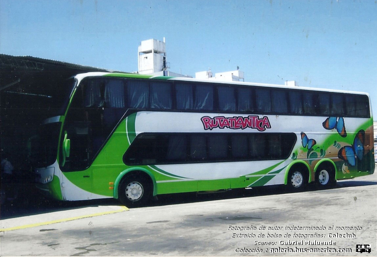 Mercedes-Benz O 400 RSD - Busscar Panorámico DD (en Argentina) - Rutatlantica
Rutatlantica (Prov.Buenos Aires)

Fotógrafo: desconocido al momento
Extraído de bolsa de fotografías del Coleclub
Scaneo: Gabriel Maluende
Colección: www.bus-america.com
