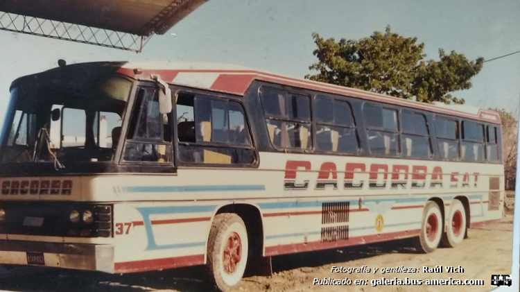 Scania BR 116 - DIC Panorama Internacional IV - Cacorba
[url=https://bus-america.com/galeria/displayimage.php?pid=51249]https://bus-america.com/galeria/displayimage.php?pid=51249[/url]

Cacorba, interno 37

Misma unidad a la que posteriormente le agregaron un tercer eje

Fotografía y gentileza: Raúl Vich
