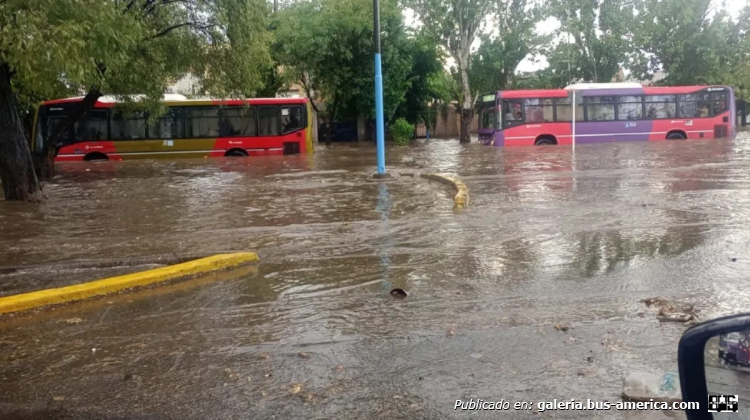 Mercedes-Benz OH 1721 L SB - Metalpar Iguazú Nueva Generación PH 109 - Mendotran , Maipú 
[url=https://bus-america.com/galeria/displayimage.php?pid=68079]https://bus-america.com/galeria/displayimage.php?pid=68079[/url]
Líneas 800 (Mendotran, Prov.Mendoza), interno 150 [derecha]

Foto Diario Uno
Palabras clave: Furlabus