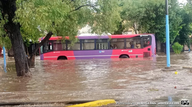 Mercedes-Benz OH 1721 L SB - Metalpar Iguazú Nueva Generación PH 109 - Mendotran , Maipú
[url=https://bus-america.com/galeria/displayimage.php?pid=68080]https://bus-america.com/galeria/displayimage.php?pid=68080[/url]

Líneas 800 (Mendotran, Prov.Mendoza), interno 150

Foto Diario Uno
Palabras clave: Furlabus