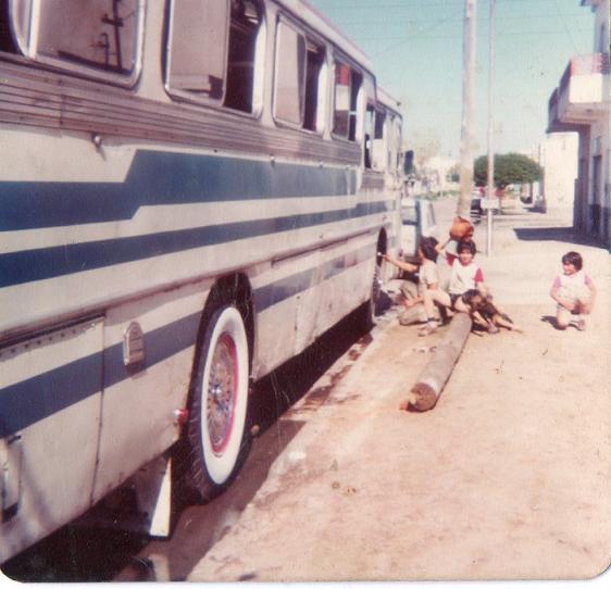 Leyland Royal Tiger - Serra - Turismo
Esta foto fue tomada en el año 1976

http://galeria.bus-america.com/displayimage.php?pid=31953
