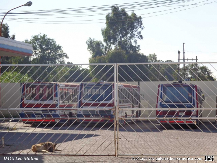 Mercedes-Benz OH 1521 L - Ei-Var - Micro Sur S.A
Cabecera de la Micro, servicio contratado de Bahía Blanca. 
Internos 5, 6, 11.
(Datos de derecha a izquierda)

Imagen: Leo Molina (leobahia24)

