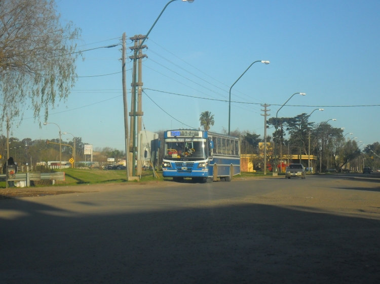 Mercedes-Benz OF 1418 - La Favorita - Ruta Bus
LÍNEA 350 - INTERNO 140
ESPERANDO PARA VOLVER A PILAR
