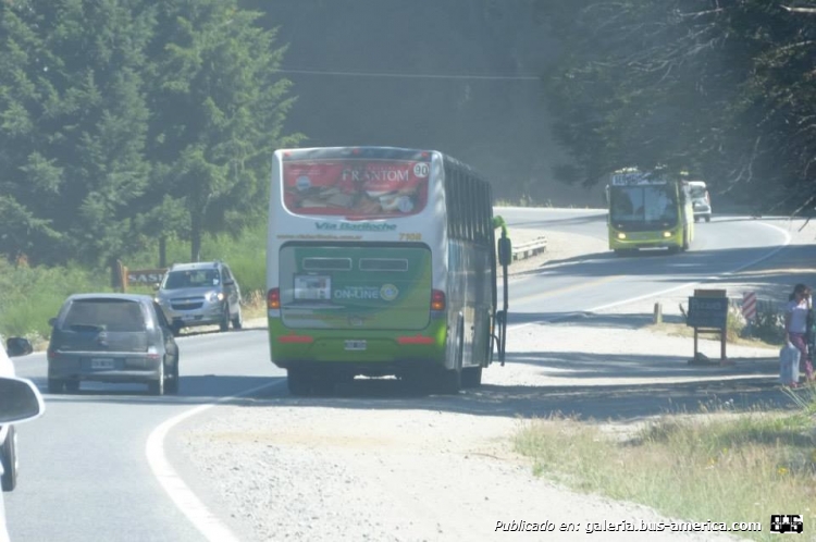 Marcopolo (en Argentina) -  Vía Bariloche
En las inmediaciones de Villa La Angostura.

Fotografía: José Aparicio
Palabras clave: Marcopolo