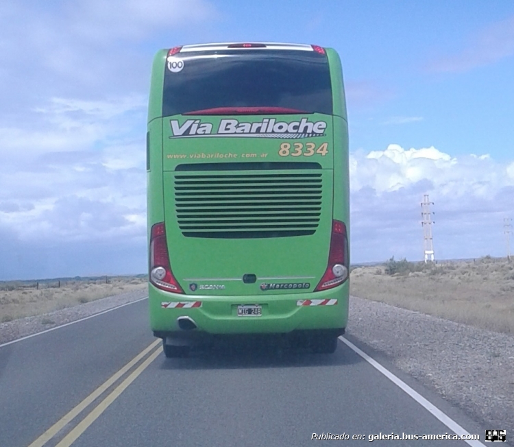 Scania - Marcopolo (en Argentina) -  Vía Bariloche
MIG 248
Interno 8334

Fotografía: José Aparicio
Palabras clave: Marcopolo Scania