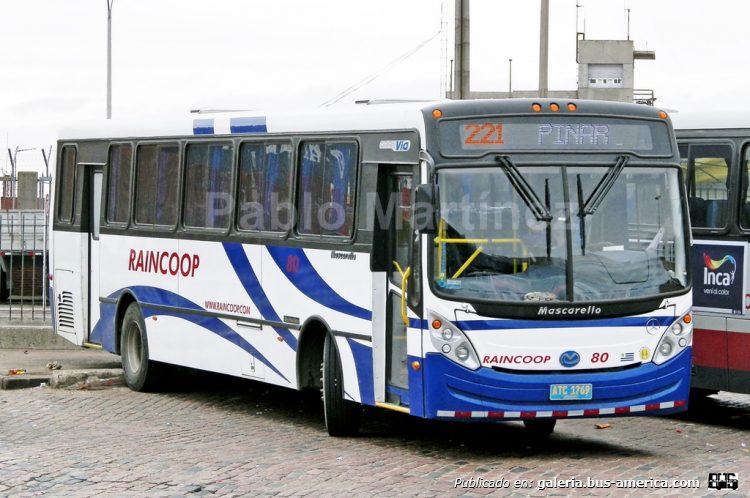 Mercedes-Benz O 500 M - MASCARELLO GRAN VÍA 2011 (en Uruguay) - RAINCOOP
ATC 1769

Sirviendo las líneas suburbanas de la extinta cooperativa, coche en espera en Terminal Baltasar Brum (Río Branco).

Foto: Pablo Martínez
Palabras clave: MASCARELLO GRAN VIA MERCEDEZ BENZ RAINCOOP URUGUAY