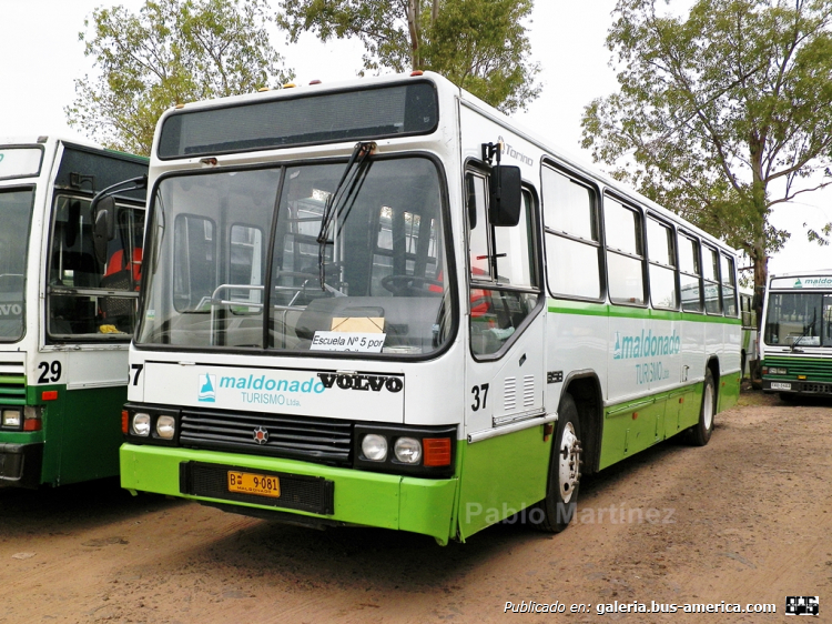 MARCOPOLO TORINO GIV (en Uruguay) - MALDONADO TURISMO
Otro coche ex Cutcsa que paso a un nuevo propietario, en éste caso para las líneas de la empresa Maldonado Turismo en la ciudad de Rivera. Interno 37, patente B 9-081.

Foto: Pablo Martínez 
Palabras clave: MARCOPOLO TORINO GIV VOLVO MALDONADO RIVERA URUGUAY