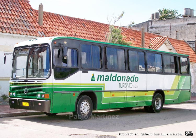 MARCOPOLO Allegro GIV (en Uruguay) - Maldonado Turismo-
Vemos al interno 23 de la empresa Maldonado Turismo detenido en la cabecera de línea de Punta del Este aguardando para retomar el recorrido. El anterior propietario de la unidad fue la empresa Cutcsa de Montevideo. Patente B 16-891.

Foto: Pablo Martínez
Palabras clave: MARCOPOLO ALLEGRO GIV MERCEDES BENZ MALDONADO URUGUAY