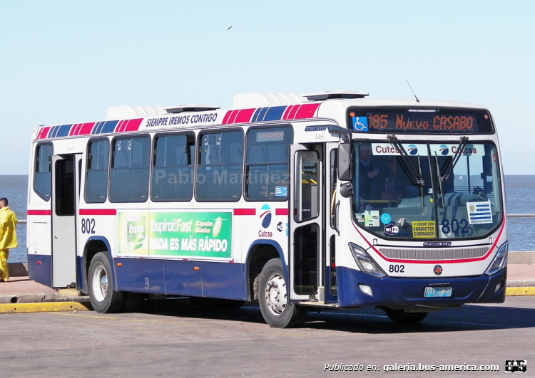 Mercedes-Benz OH 1622 L - MARCOPOLO TORINO 2014 (en Uruguay) - CUTCSA
STC 1802

Línea 185 (Montevideo), interno 802

Espera en terminal POCITOS,primeros coches en eliminar cortinas y colocar láminas contra rayos UV en los cristales por medidas contra el COVID19.
Foto: Pablo Martínez
Palabras clave: MARCOPOLO TORINO 2014 MERCEDES BENZ CUTCSA URUGUAY