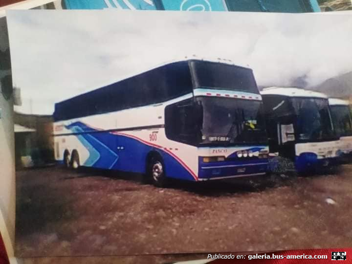 Marcopolo (para Perú)
Fotógrafo: desconocido
Palabras clave: cruz del sur