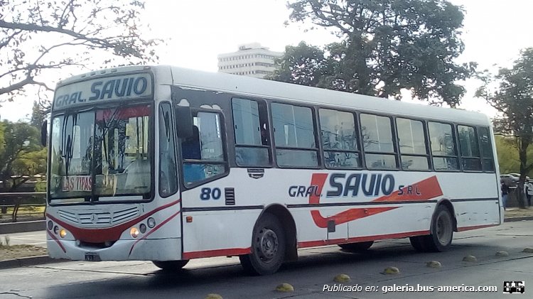 Mercedes-Benz OF 1722 - Metalpar Tronador 2010 - General Savio
JVJ 490

Línea 49B (Prov. de Jujuy), interno 80
