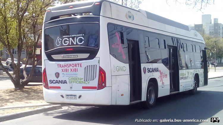 Scania K 280 GNC - Marcopolo Torino Low Entry (en Argentina) - Transporte Xibi-Xibi
AE 016 ZA
[url=https://bus-america.com/galeria/displayimage.php?pid=53088]https://bus-america.com/galeria/displayimage.php?pid=53088[/url]

Línea 21 (San Salvador de Jujuy), interno 112 (Parte de Atras)
